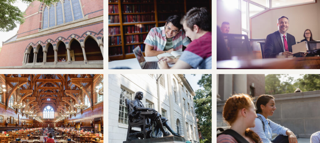 sample images that follows photography guidelines